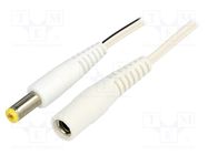 Cable; DC 5,5/2,1 plug,DC 5,5/2,1 socket; straight; 0.5mm2; 3m BQ CABLE
