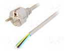 Cable; 3x1.5mm2; CEE 7/7 (E/F) plug,wires; PVC; 5m; grey; 16A; 250V LIAN DUNG
