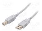 Cable; USB 2.0; USB A plug,USB B plug; 2m; light grey BQ CABLE