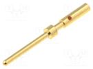 Contact; male; copper alloy; gold-plated; 28AWG÷24AWG; crimped BULGIN