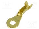 Tip: ring; M3; 0.5÷1mm2; crimped; for cable; non-insulated; brass BM GROUP