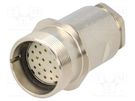 Connector: M27; ZYLIN; plug; female; soldering; for cable; PIN: 26 LAPP