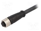 Cable: for sensors/automation; PIN: 8; M12-M12; 5m; plug; plug; male IFM ELECTRONIC