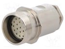 Connector: M27; ZYLIN; plug; female; soldering; for cable; PIN: 21 LAPP