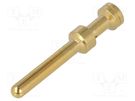 Contact; male; copper alloy; gold-plated; 0.75mm2; Han E®; crimped HARTING