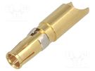 Contact; female; copper alloy; gold-plated; 10AWG÷8AWG; soldering CONEC