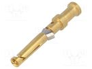 Contact; female; copper alloy; nickel plated,gold-plated; 1mm2 HARTING