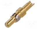 Contact; male; copper alloy; gold-plated; 14AWG÷12AWG; soldering CONEC
