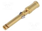 Contact; female; copper alloy; nickel plated,gold-plated; 2.5mm2 HARTING