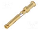 Contact; female; copper alloy; nickel plated,gold-plated; 0.5mm2 HARTING