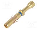 Contact; female; 16; gold-plated; 0.32÷0.52mm2; 22AWG÷20AWG; bulk SOURIAU