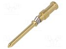 Contact; male; copper alloy; nickel plated,gold-plated; 0.5mm2 HARTING