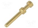 Contact; male; copper alloy; gold-plated; 1mm2; Han E®; crimped HARTING