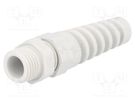 Cable gland; with strain relief; PG7; IP68; polyamide; grey HUMMEL