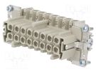 Connector: HDC; female; PIN: 16; size 16; contact insert; 500V; 16A WIELAND