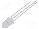 LED; 5mm; red/blue; 30°; Front: convex; 1.8÷2.6/2.9÷3.6V; -30÷85°C OPTOSUPPLY