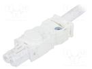 Power cable; cascade connection; 025; female; white; 2m; 2x1.5mm2 STEGO