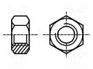 Nut; hexagonal; UNC 1/4-20; steel; Plating: zinc; H: 13mm; 22mm BOSSARD