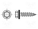 Screw; 6.5x32; Head: hexagonal; none; 9.5mm; hardened steel; zinc BOSSARD