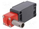 Safety switch: hinged; FD; NC x2; IP67; -25÷80°C; red,grey PIZZATO ELETTRICA
