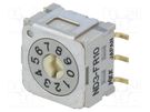Encoding switch; DEC/BCD; Pos: 10; vertical; Rcont max: 30mΩ; ND3 NKK SWITCHES