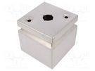 Enclosure: for remote controller; IP66; X: 100mm; Y: 100mm; Z: 90mm RITTAL