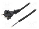 Cable; 2x1mm2; CEE 7/17 (C) plug,wires; rubber; 4.5m; black; 16A PLASTROL