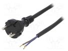 Cable; 2x1mm2; CEE 7/17 (C) plug,wires; rubber; 2m; black; 16A PLASTROL