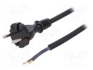 Cable; 2x1mm2; CEE 7/17 (C) plug,wires; rubber; 3m; black; 16A PLASTROL
