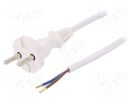 Cable; 2x1mm2; CEE 7/17 (C) plug,wires; PVC; 3m; white; 16A; 250V PLASTROL