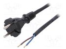 Cable; 2x1mm2; CEE 7/17 (C) plug,wires; rubber; 1.5m; black; 16A PLASTROL