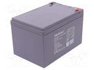 Re-battery: acid-lead; 12V; 12Ah; AGM; maintenance-free QOLTEC