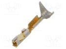 Contact; female; gold-plated; 32AWG÷28AWG; Mini-PV™; 2.54mm; FCI Amphenol Communications Solutions
