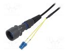 Fiber patch cord; PIN: 2; single mode duplex (SM); bayonet; LC BULGIN
