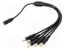 Cable; 2x0.5mm2; DC 5,5/2,1 plug x5,DC 5,5/2,1 socket; straight SUNNY