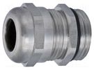 Cable gland; with earthing; PG21; IP68; stainless steel HUMMEL