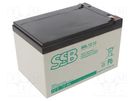 Re-battery: acid-lead; 12V; 12Ah; AGM; maintenance-free; 4.1kg SSB
