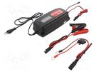 Charger: for rechargeable batteries; acid-lead,gel; 12V Everpower