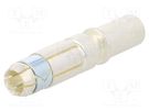 Contact; female; silver plated; 35mm2; 2AWG; power contact; EBC160 ANDERSON POWER PRODUCTS