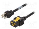 Cable; 3x14AWG; IEC C19 female,NEMA 5-15 (B) plug; PVC; 2m; black SCHURTER