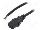 Cable; 3x1mm2; IEC C13 female,wires; PVC; 5m; black; 10A; 250V LIAN DUNG