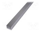 Heatsink: extruded; grilled; TO220; natural; L: 1000mm; W: 54mm SEIFERT ELECTRONIC