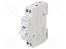 Switch-disconnector; Poles: 2; for DIN rail mounting; 25A; 230VAC HAGER