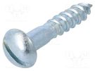 Screw; for wood; 6x30; Head: button; slotted; 1,6mm; steel; zinc BOSSARD