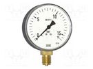 Manometer; -1bar÷600mbar; Class: 1.6; 100mm; Temp: -40÷60°C; IP54 WIKA