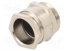 Cable gland; PG21; IP54; brass BM GROUP