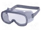 Safety goggles; Lens: transparent; Classes: 1; MURIA 1; sealed DELTA PLUS