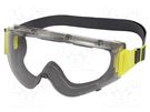 Safety goggles; Lens: transparent; Classes: 1; SAJAMA DELTA PLUS