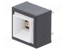 Switch: push-button; Pos: 2; DPDT; 5A/250VAC; 5A/30VDC; ON-(ON) NKK SWITCHES