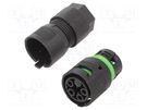 Connector: AC supply; screw terminal; female; 8÷11.5mm; 16A; 400V AAG STUCCHI